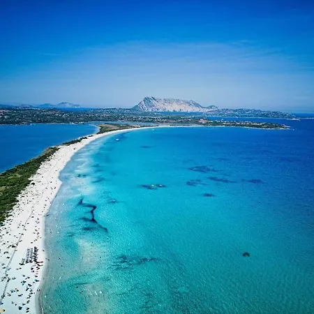 Santeodorohouse & * San Teodoro (Sardinia)